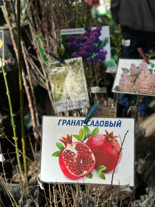 ������� ������ � ������ ������ �������