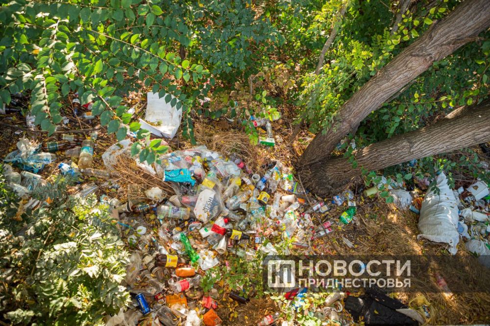 ������������� ����������� ������������, ����������������� ���������� ������� �� ������ ������ � ������������ ������: