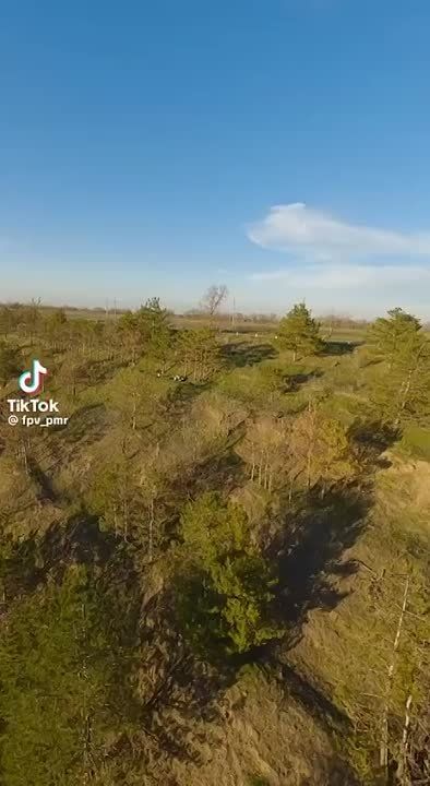 ������ � ����� � �����������