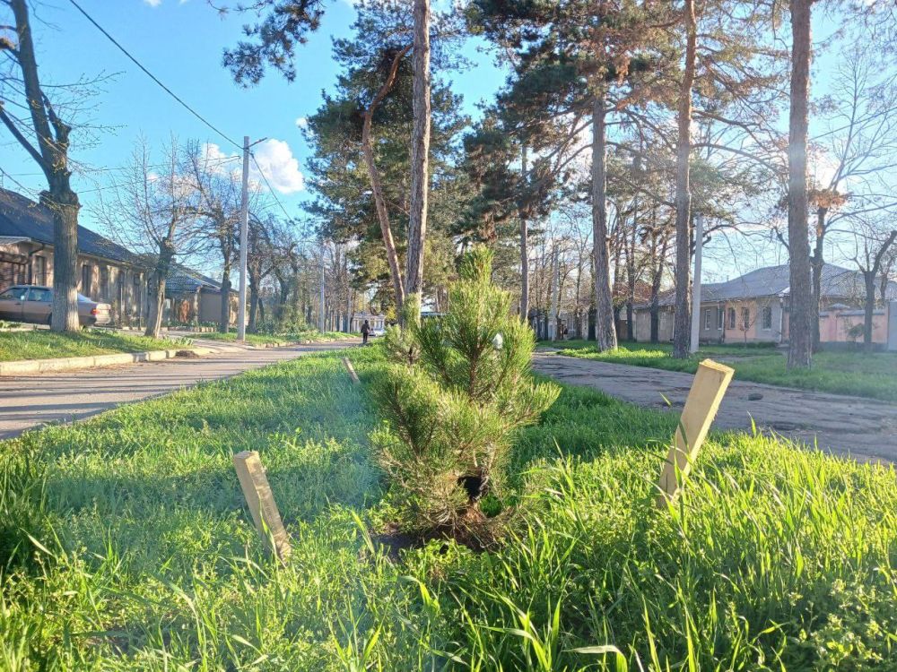 ���� ������� ����� �� ����� �� ����� ������ �������� ������� �������