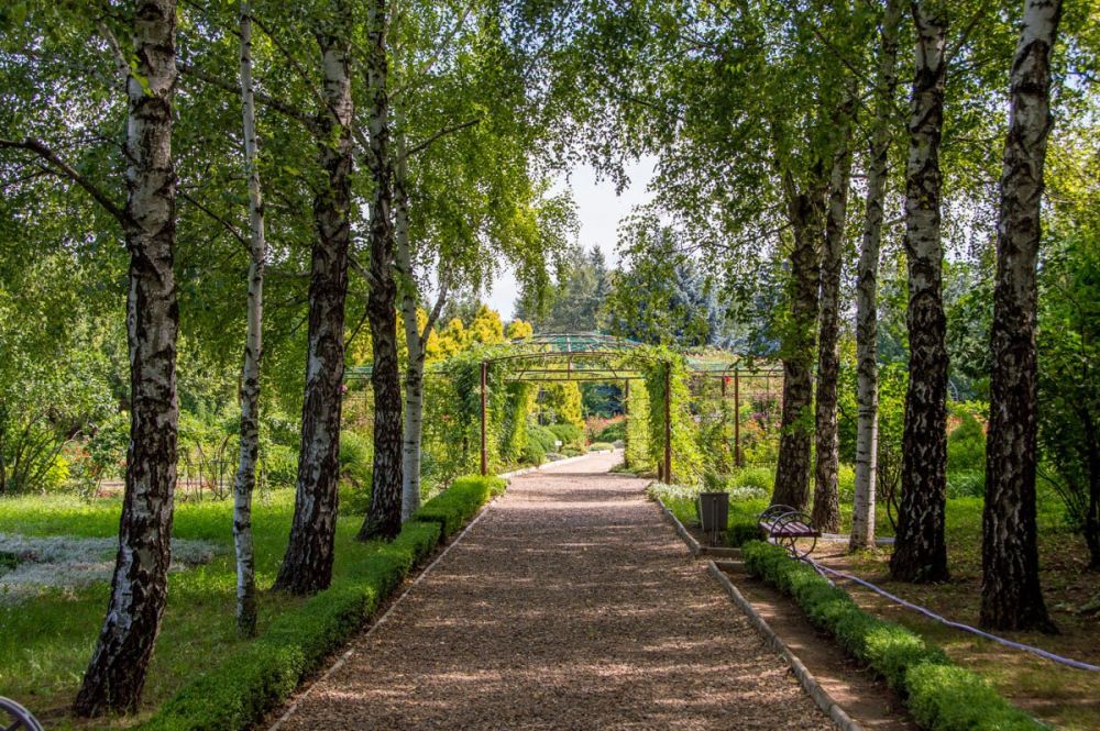 ���������� ��������� ������ ��� �����������