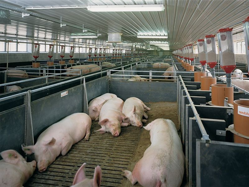 ��� ���������� ���������� �� ���������� ������������ �������