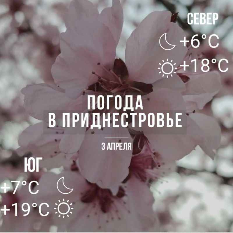 ������� ����������. ���� � �� +19��. ��� �������