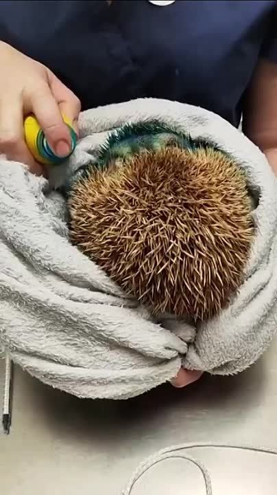 ������� �������� � ���������� ������ ��� � ����� �� ����