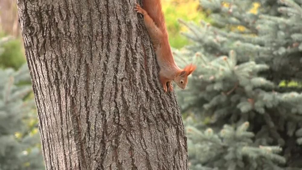 ����� � ������������ ������, ��� ����� ���������� �� ������