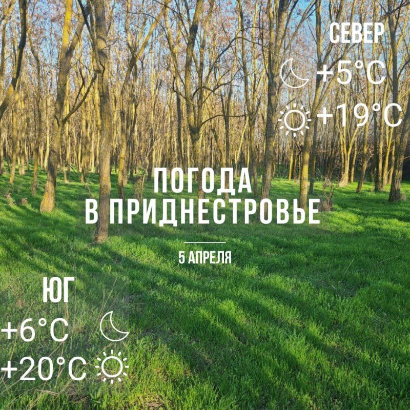 ����� ���������. ���� � �� +20��