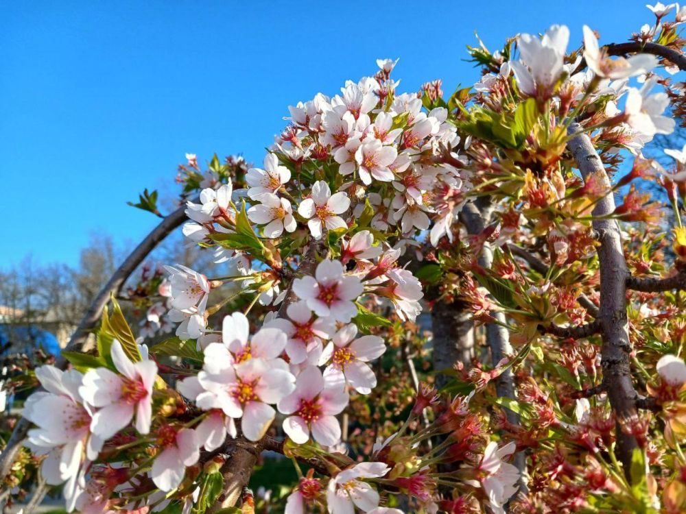 ������� ����� ���������� �������� �� �����