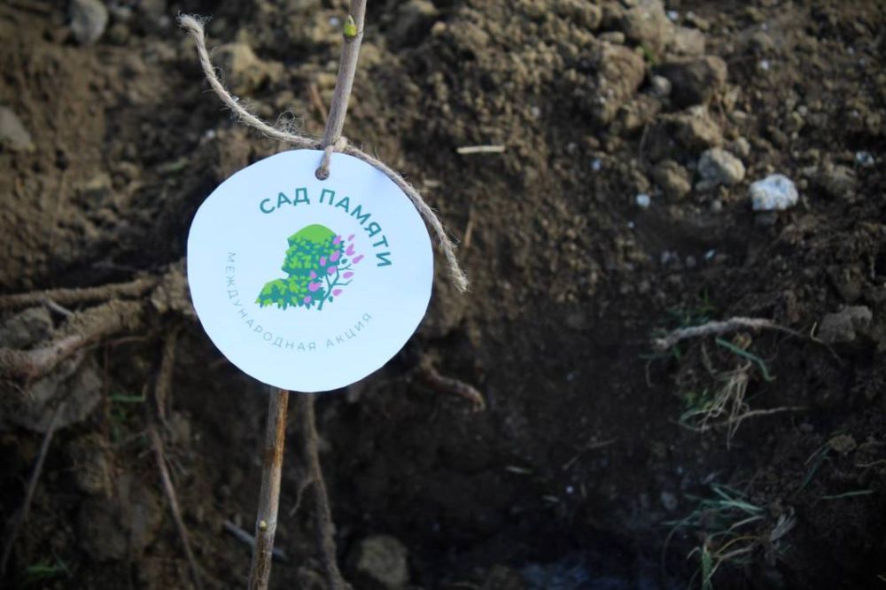 ���� ������ �������� �� ���������� ���������