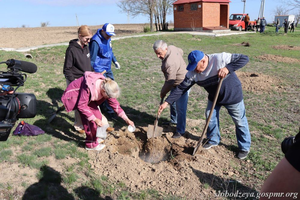 �� ���������� ����������� ��������� ������� ��� ������