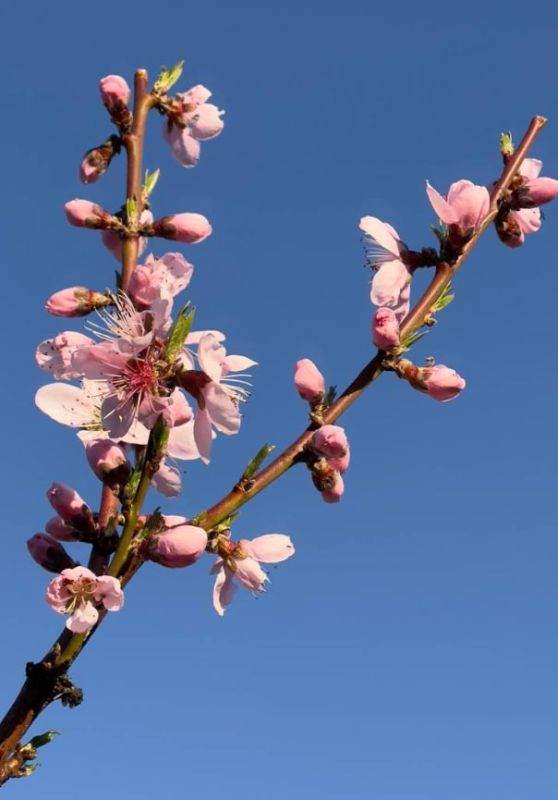 ������� �� ��������: ����� � ������� ��������� �����