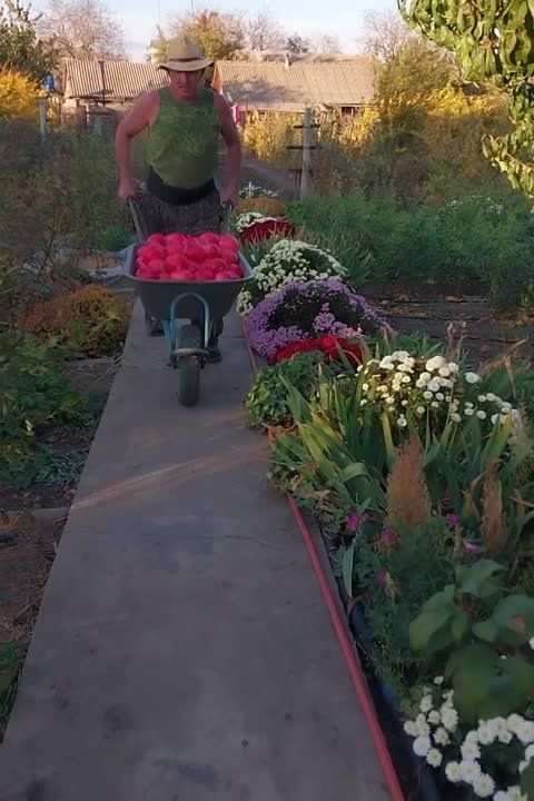 ������ �������� � ������� ���� � ��������������� �������� ������� � ������ 2 ����