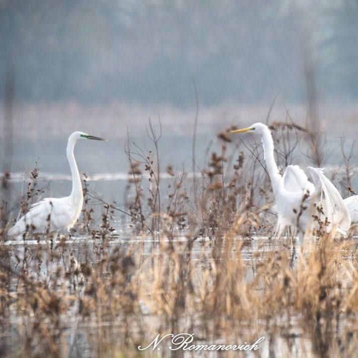 ������� ����� ������ � ����� ������ �� ������� ���� (�� �������������)