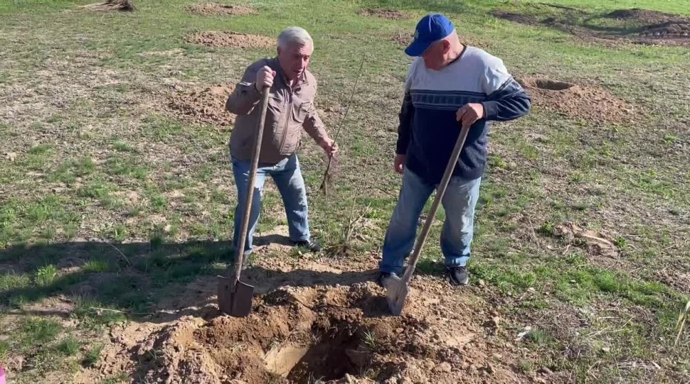 � ��������� �����, ������ �������