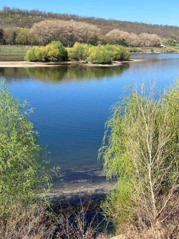 ������ �������. ������ ���� ������� ������������ ���