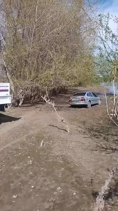 ������� �� �������. ��������� � �������� �������� ������� �� �����