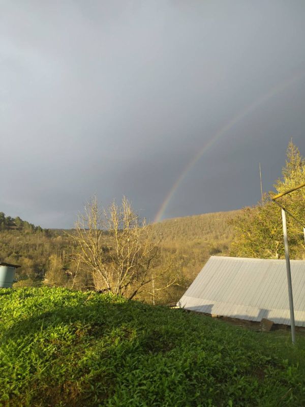 ������ � �.������