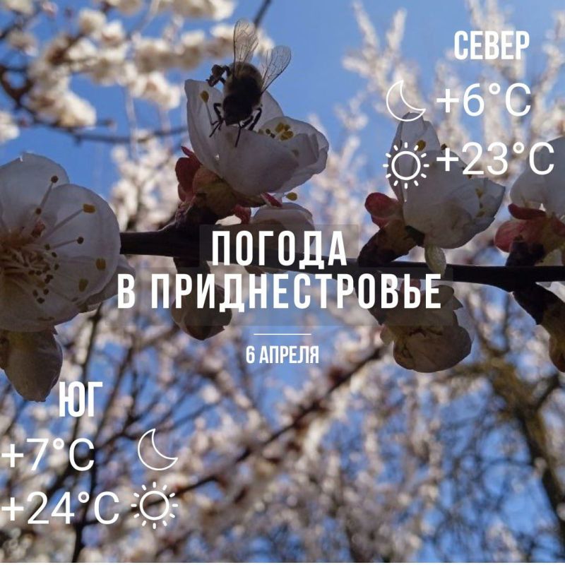 ���� � �� +24��. ������� �����