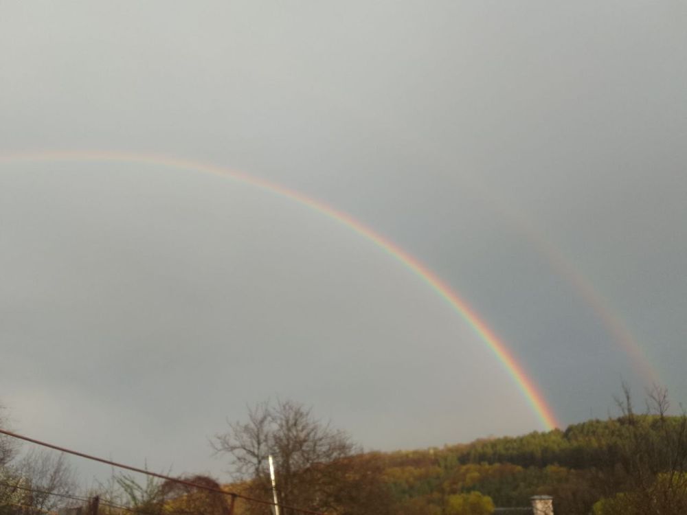 � ������� ������