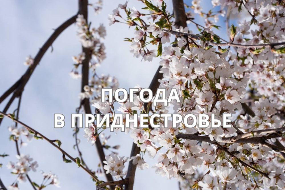 7 ������ ��������� ���������� ����������, ����� ������� ��������������� �����