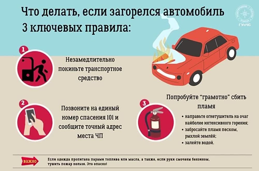 �����: ��� ������, ���� ��������� ����������