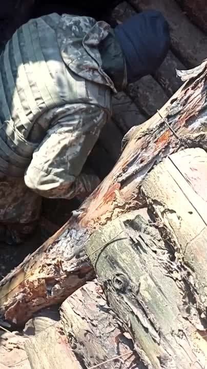 ������� ���������� ��� ��������� � ������� ��� ��� �� �����, ��� ������