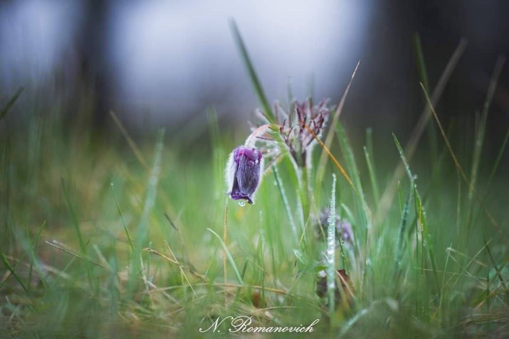 �������� ����� � ����������� ������� ������� ����������