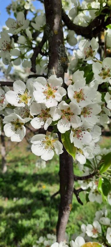 ����� - ������� � ��������� ������