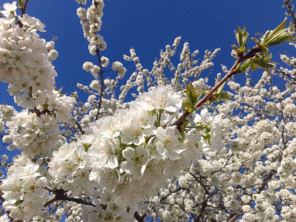 ���� � �������. �������� ������