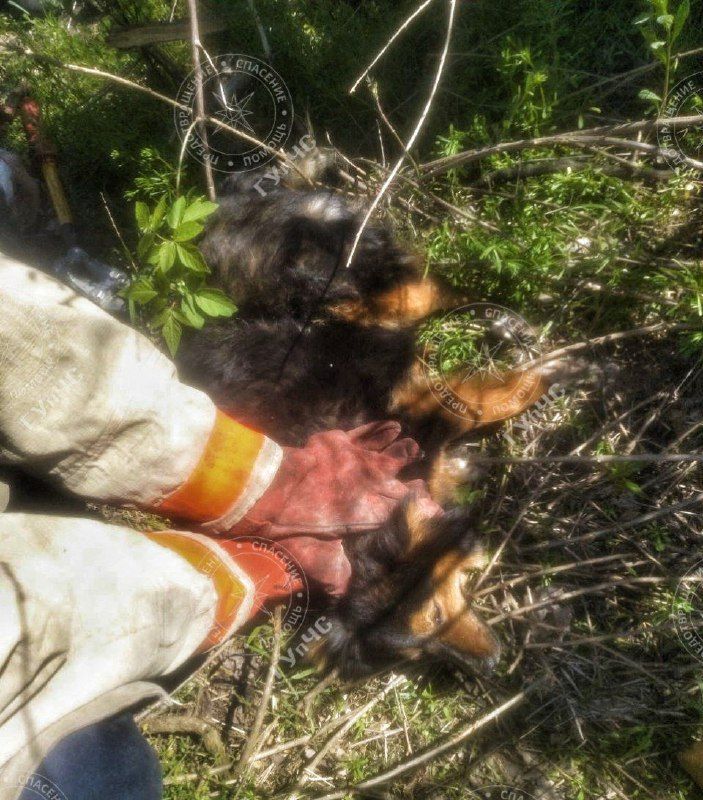 ������ � �������� ������� ������� � ����� ����������� � ����� ����������