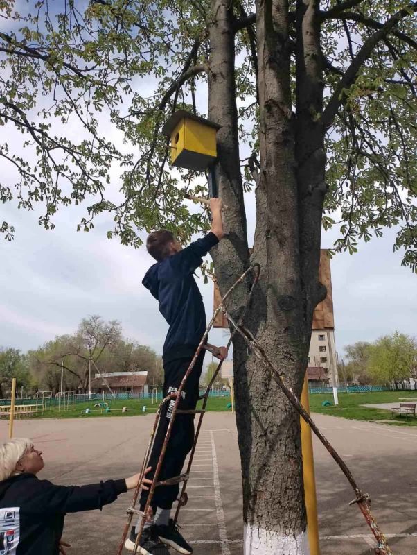 "������ ����� ����� ��� - ��� ����� ������� ���� ������������ � ��� "������������ ����" ������������� ����� "����������"