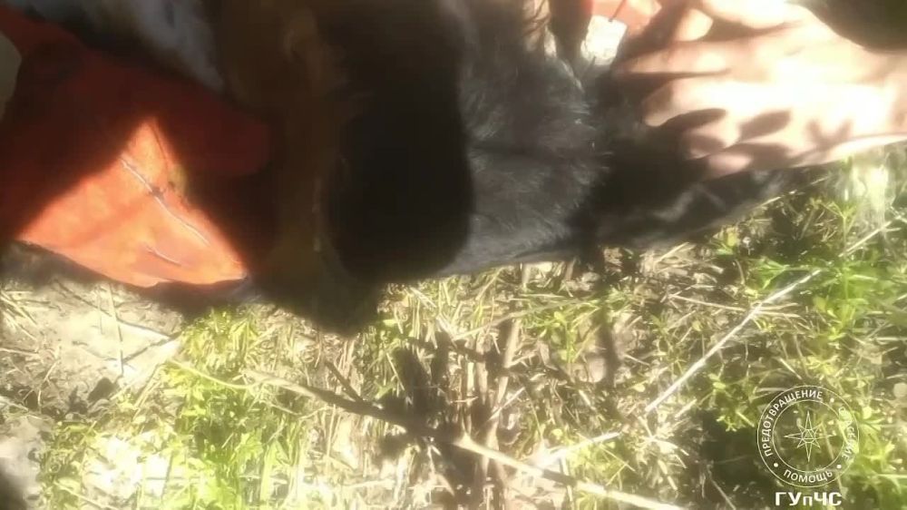 ������ ������. ������ ������� ������� � �����, ����������� � ����� ����������. �������� ������ 8 ������