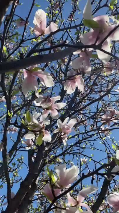 � ���������� ������� ��������