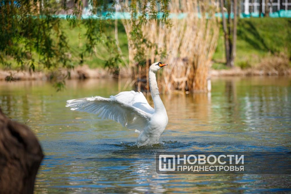 ����� � ���������