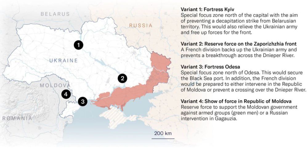 ����� ������� ����� ������� ����� ��������� � �������: ������� ������� NZZ ����������� ������ ��������� ��������