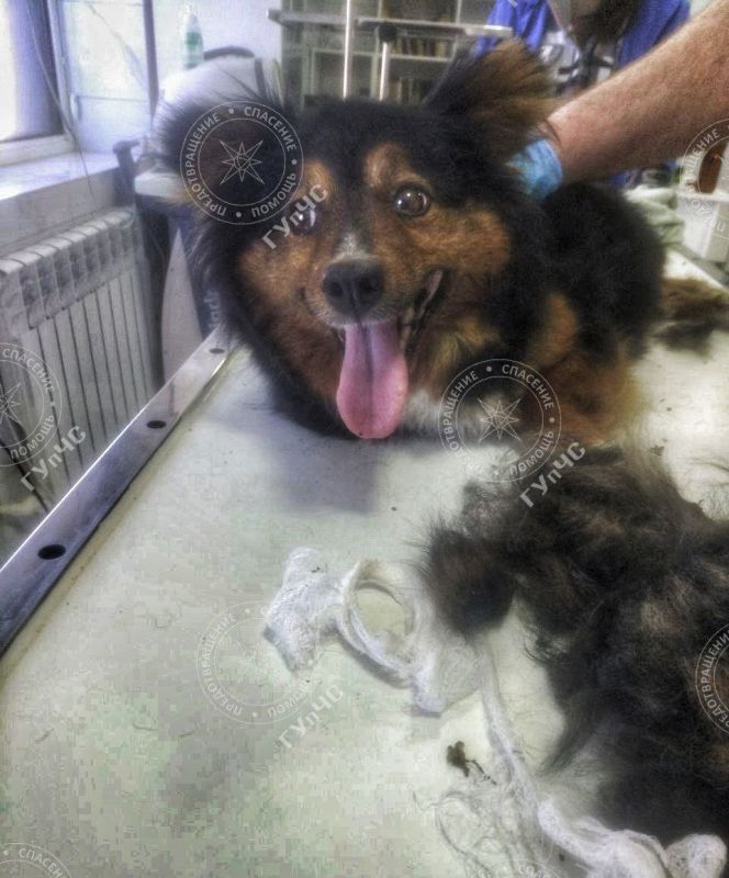 �� ���� � �������, ������� ������� ������ � ����������