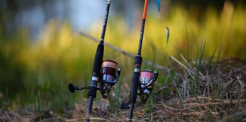 �������� ������, ���� ����� ������