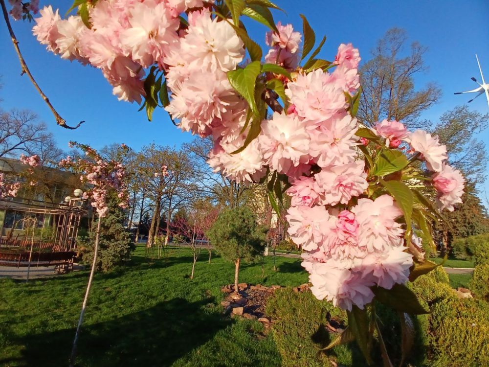 �������� ������� ����.. ��-���� ������� ��������� ������ - �����!