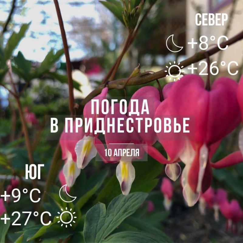 ���� � �� +27��. ��� �������