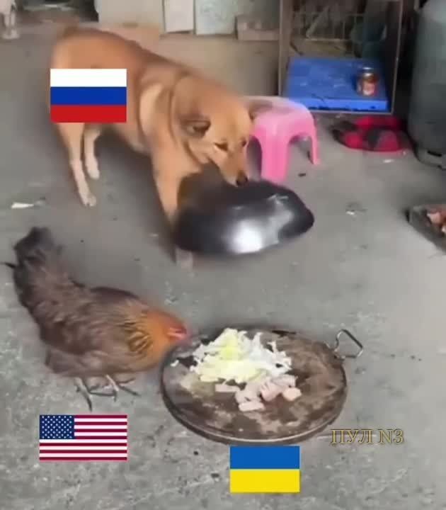 ������� � �������� � ����