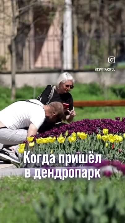 �������� � ����������� � ��� ���. ������������ ���������� - ���� ����� ������ ������� �� �������