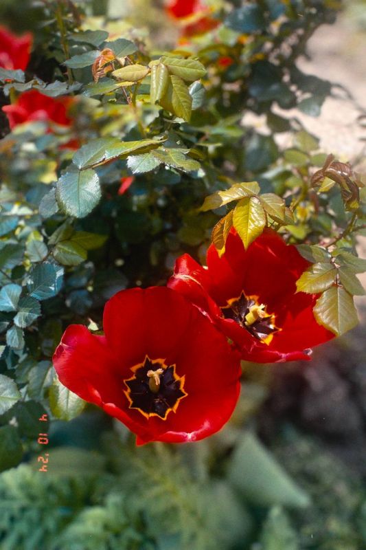 ������ � ������ �����