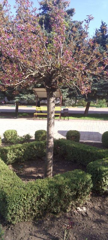 � ���������� �������� ������