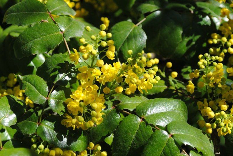 ������������ ������ ������