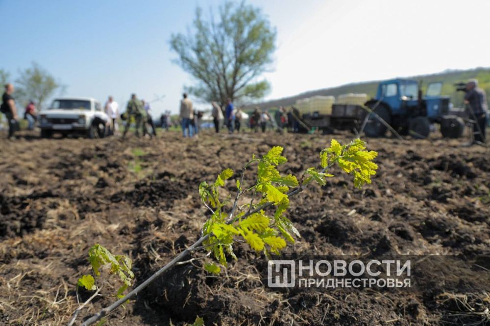 1,6 ������ �������� �������� ���� � ���������� ������ ���������� � ����������� ���������