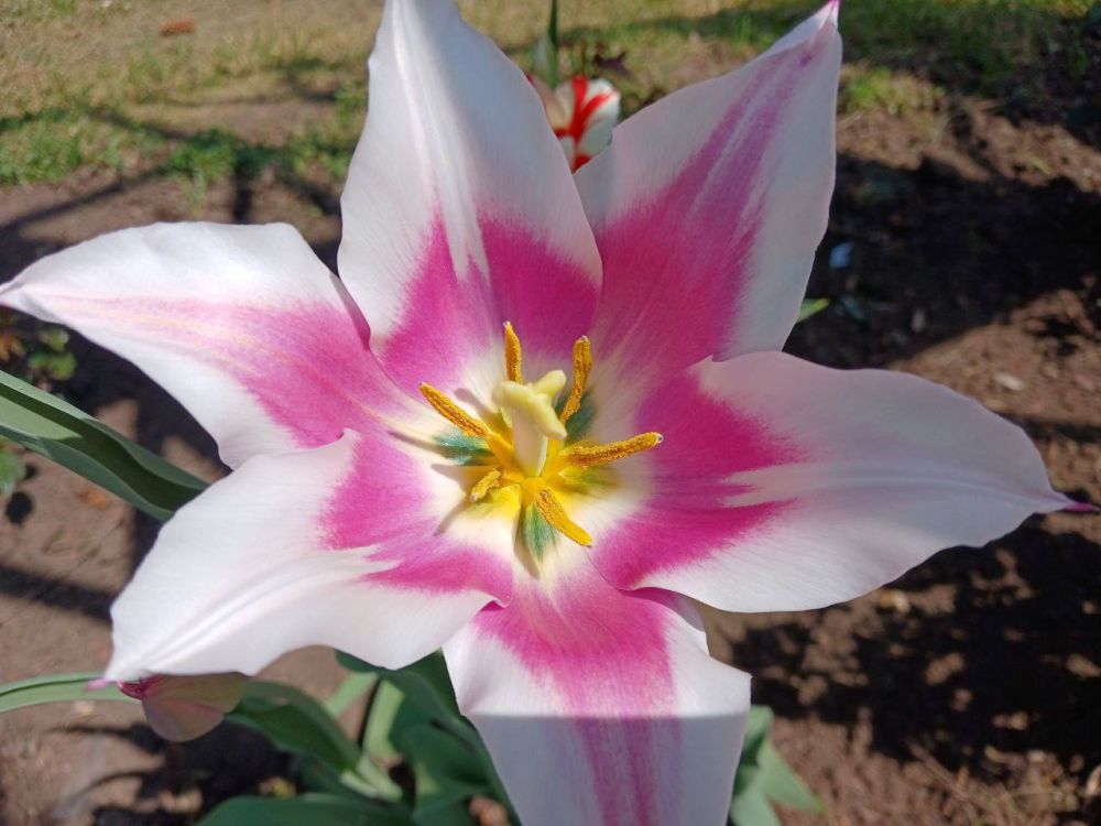 ���� � ������� ��������� � ���������