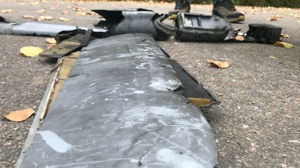 ������ ������������ ���� � �������� ����������� ���������� � �������������