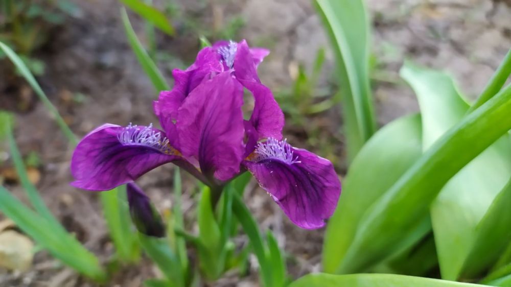 ������� ������ �� 15 � 21 ������