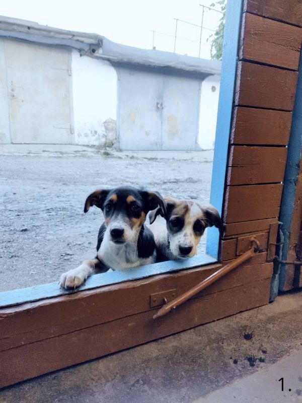 ��������� ������ �� ������ ����� �������� ����� ������� ������!�, ������������ ����� ������� ��������� � ������ �������������� ���. �� ��� ������ ������ ������� �� �������� ������, �� ���, ����������, ��������, ����� �� ������� � ������� ���� ����������