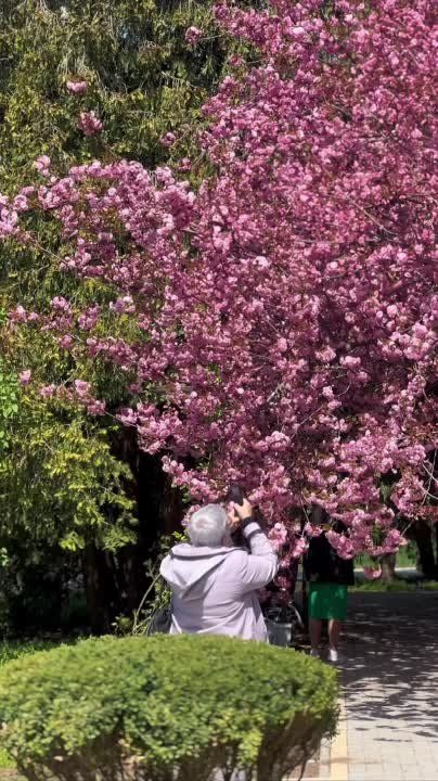 �������� ����� �� ��������� �� �������