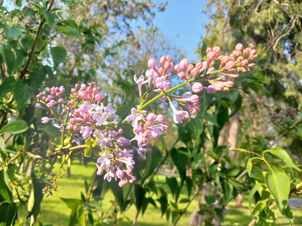 ����� ������ �����. ���������� ���������� �������� �����